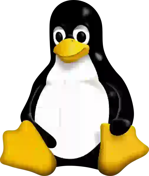 PregnantLinux